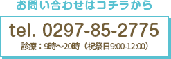 0297-85-2775 診療：祝祭日 午前9:00～12:00まで: